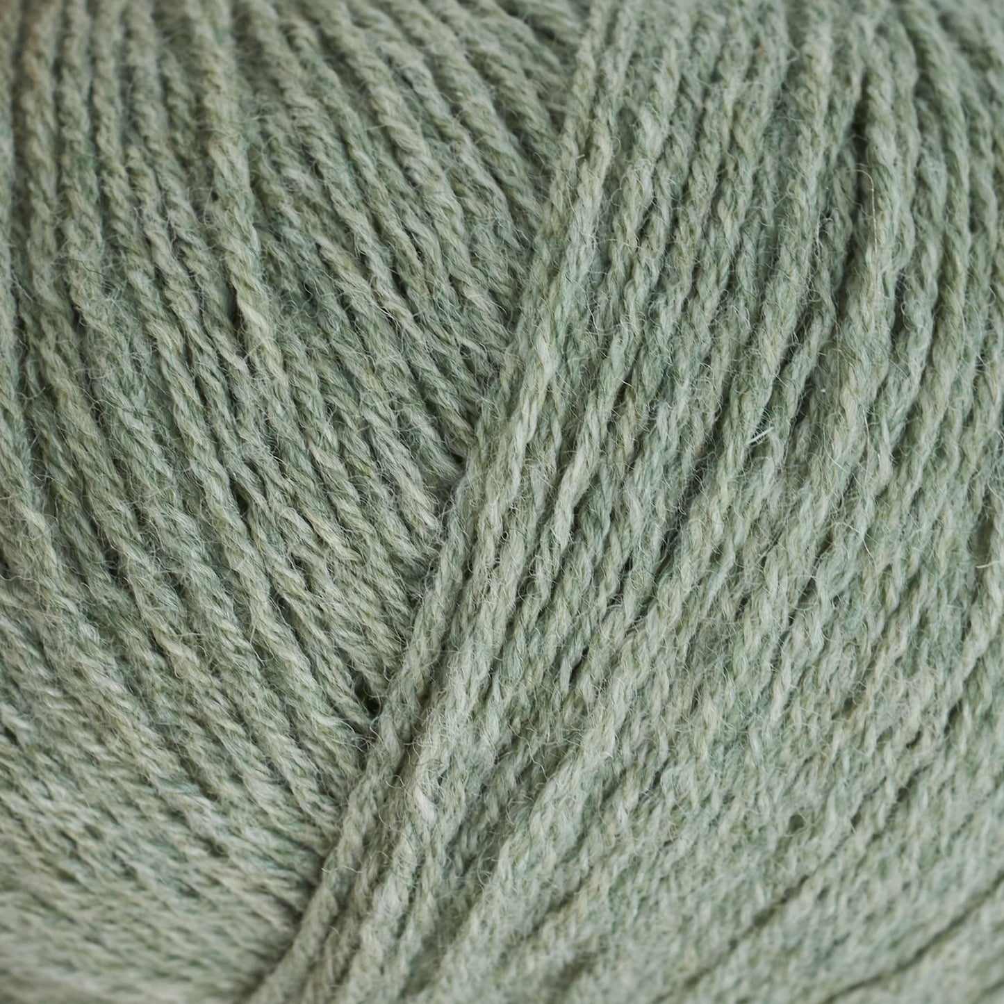 Teddy Pants - Strikkekit med garnalternativ (Garn + Opskrift)