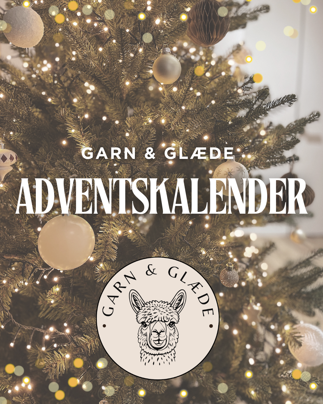Adventskalender 2025